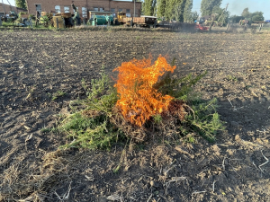 Рейдовое мероприятие по уничтожению наркосодержащей растительности 6 августа 2026 г.