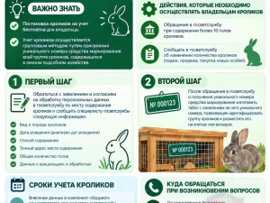 Памятки владельцам ЛПХ о постановке на учет в компонент «Хорриот»