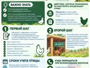 Памятки владельцам ЛПХ о постановке на учет в компонент «Хорриот»
